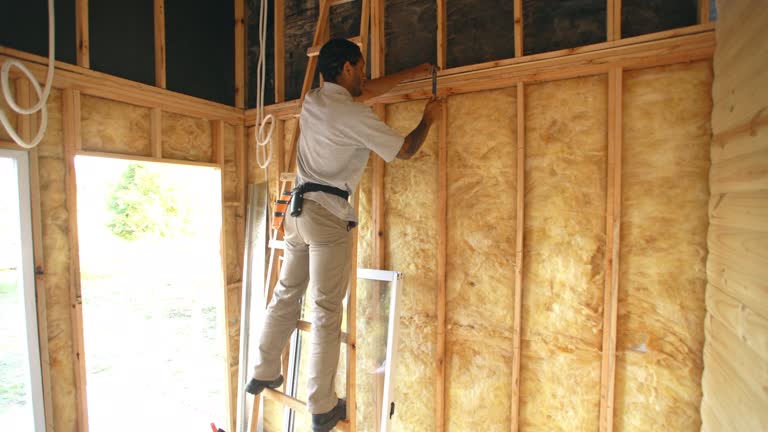 Best Blown-In Insulation  in Rosanky, TX